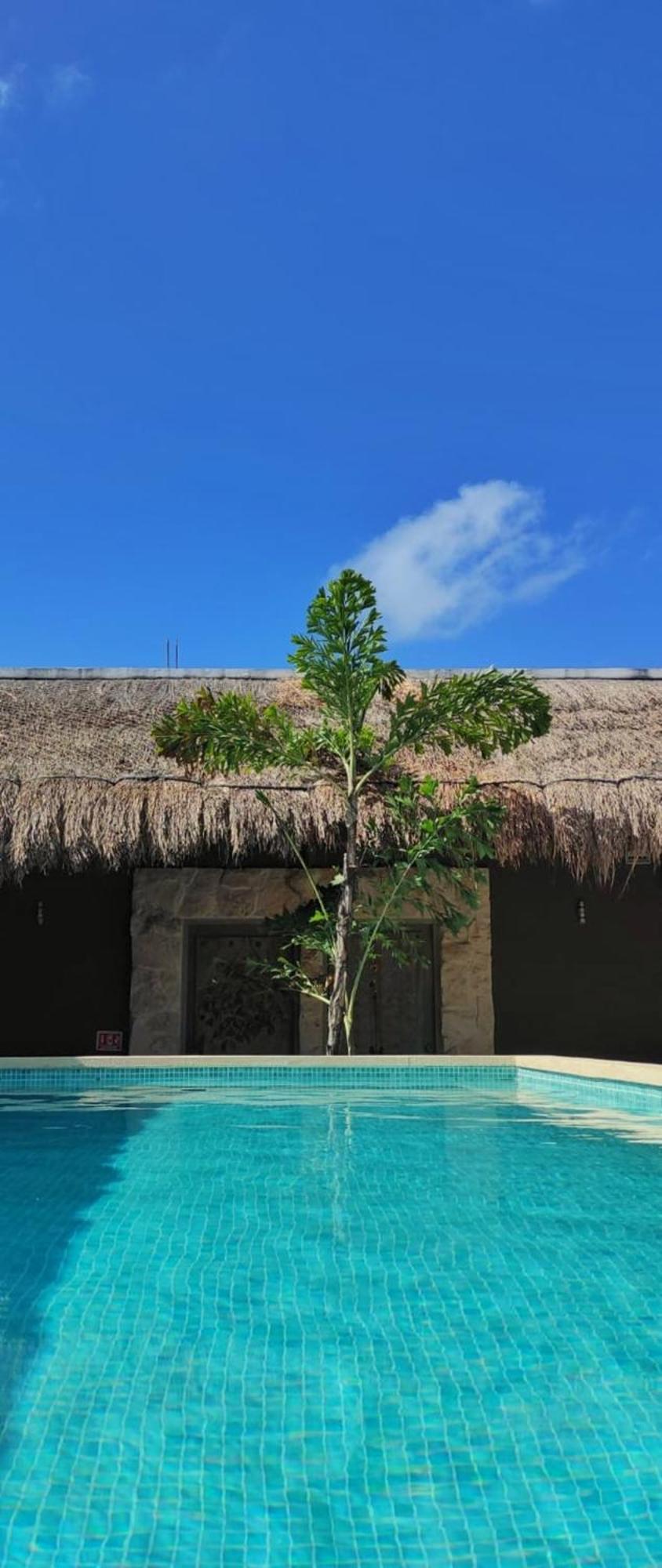 Hotel Sonno Cielito Tulum Bagian luar foto